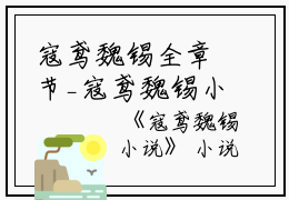 寇鸢魏锡全章节_寇鸢魏锡小说小说阅读
