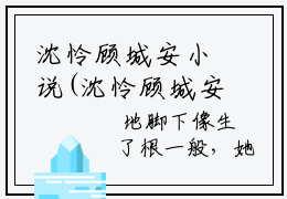 沈怜顾城安小说(沈怜顾城安)免费阅读无弹窗，小说名字是：沈怜顾城安的小说在线阅读无删减