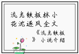 流光铁板林小花沈逐风全文在线林小花沈逐风读无弹窗大结局_（林小花沈逐风流光铁板小说）林小花沈逐风最新章节列表笔趣阁（林小花沈逐风）