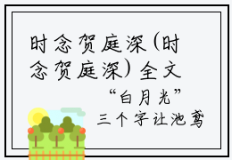 时念贺庭深(时念贺庭深)全文免费阅读无弹窗大结局(时念贺庭深)时念贺庭深无
